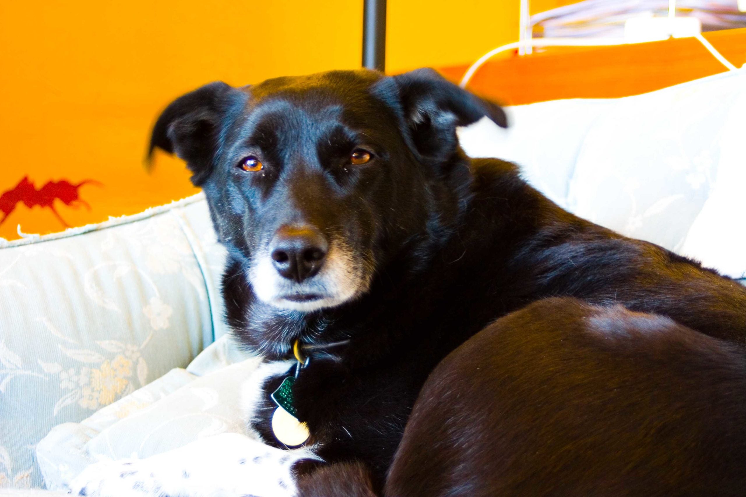 How to Spend a (very) Long Weekend in Montana in Early January