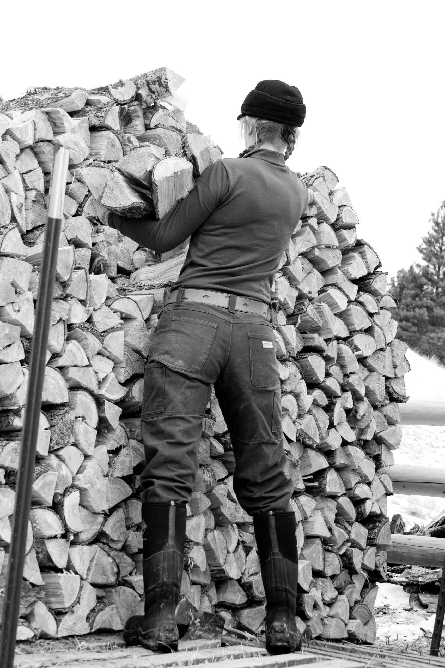 One Job, One Reason: Hauling Wood into the House