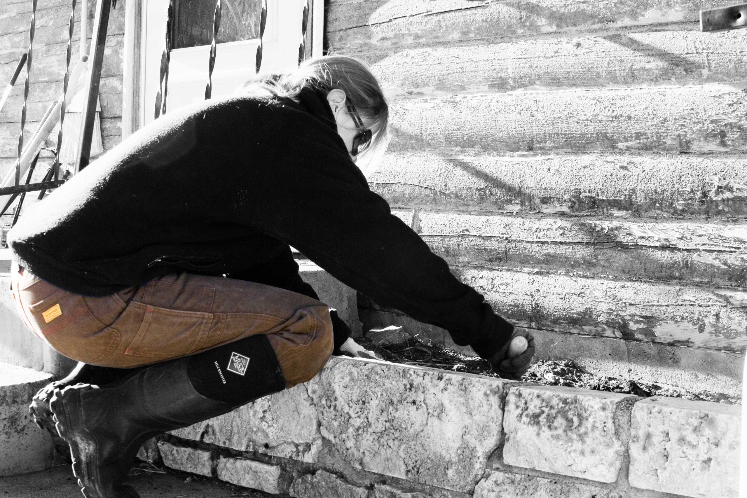 One Job, One Reason: Spring Planting