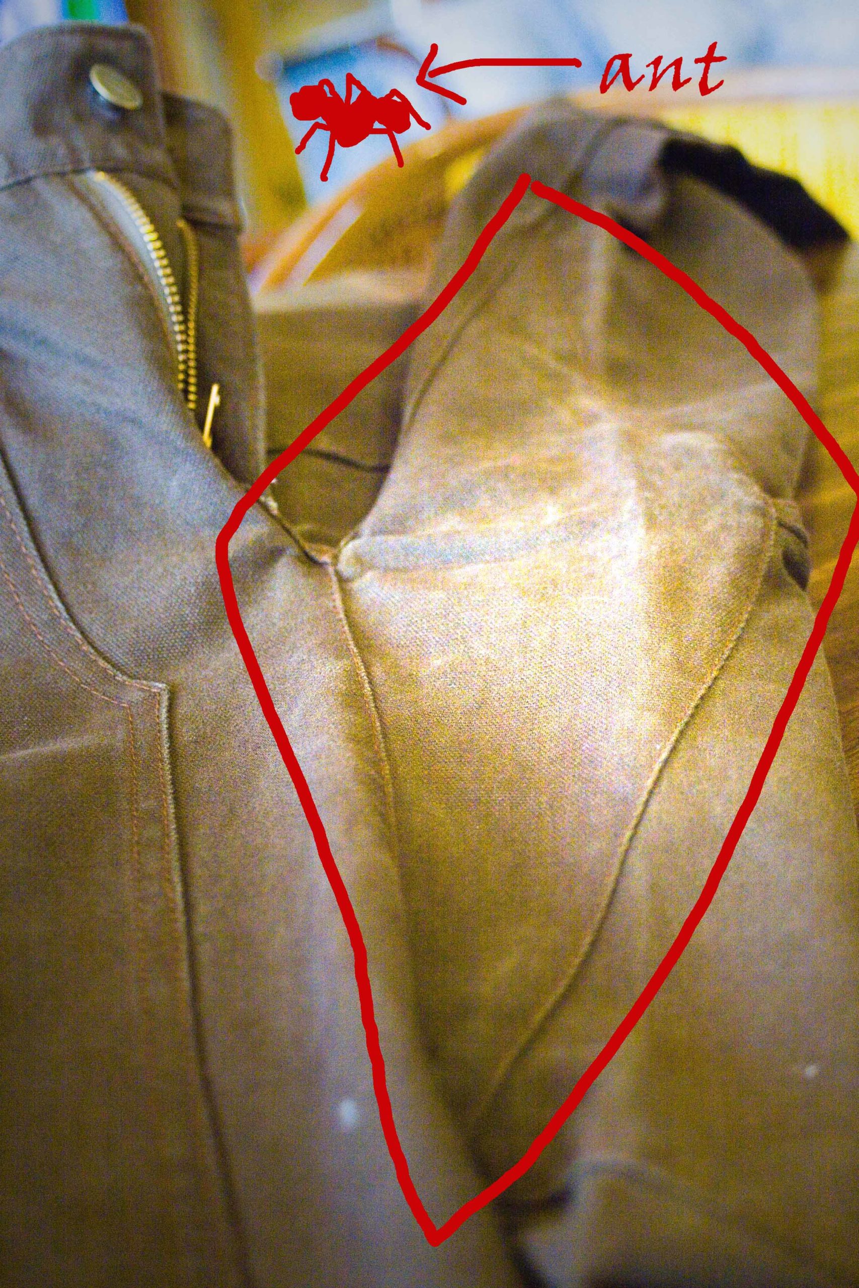 What is a Gusseted Crotch?