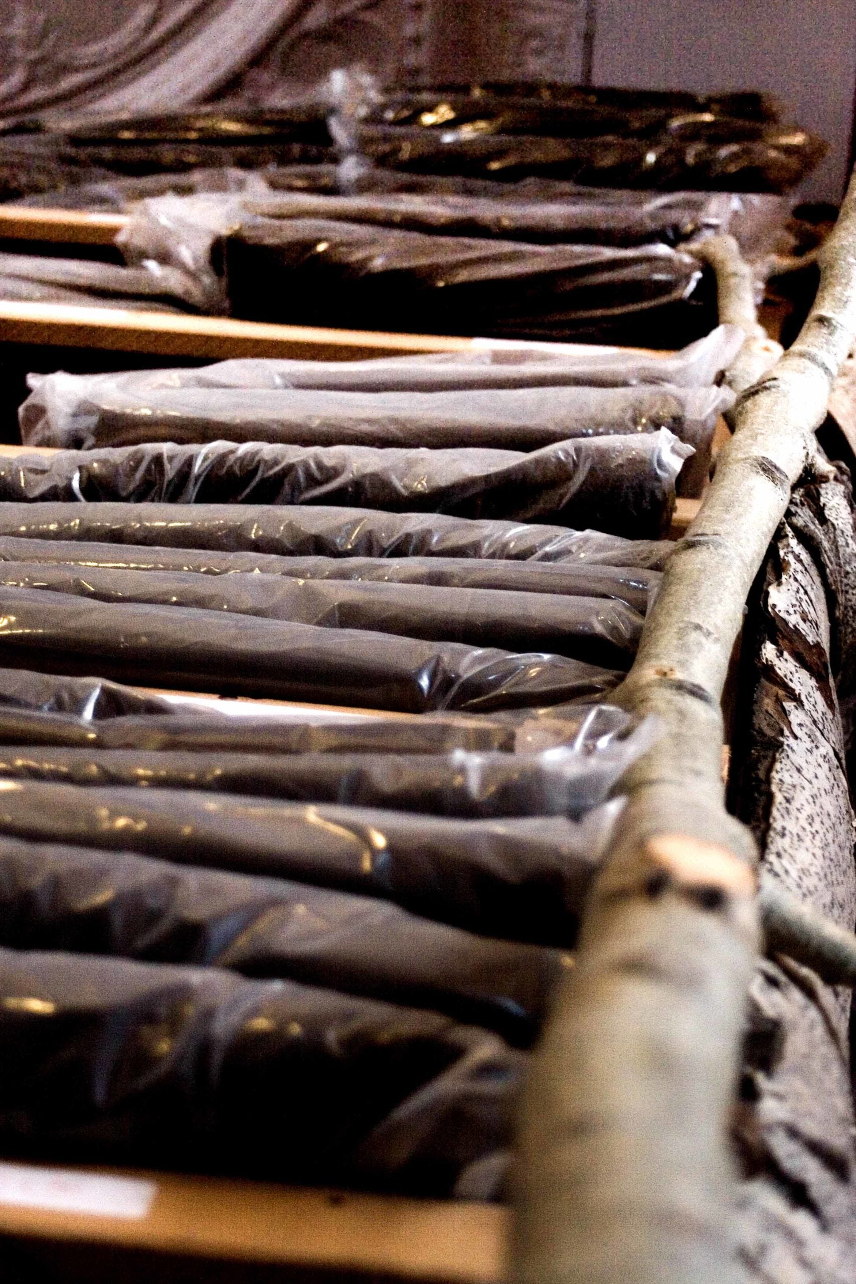 Images from the Store