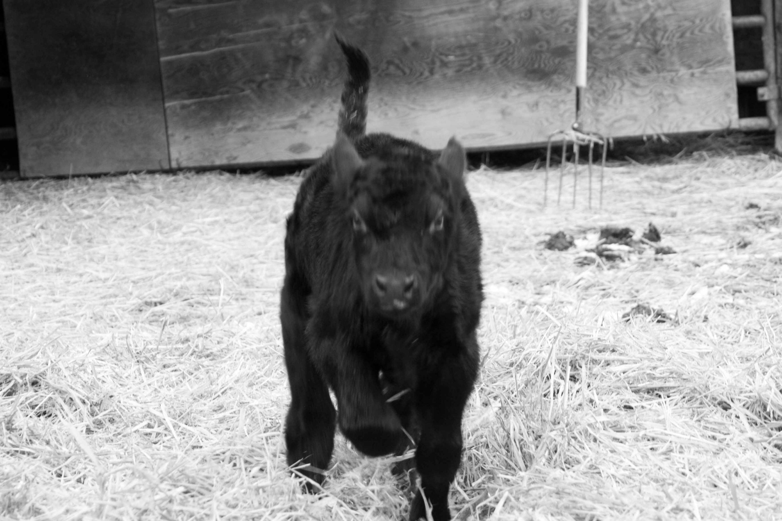 Outside WSS and Red Ants Pants in February