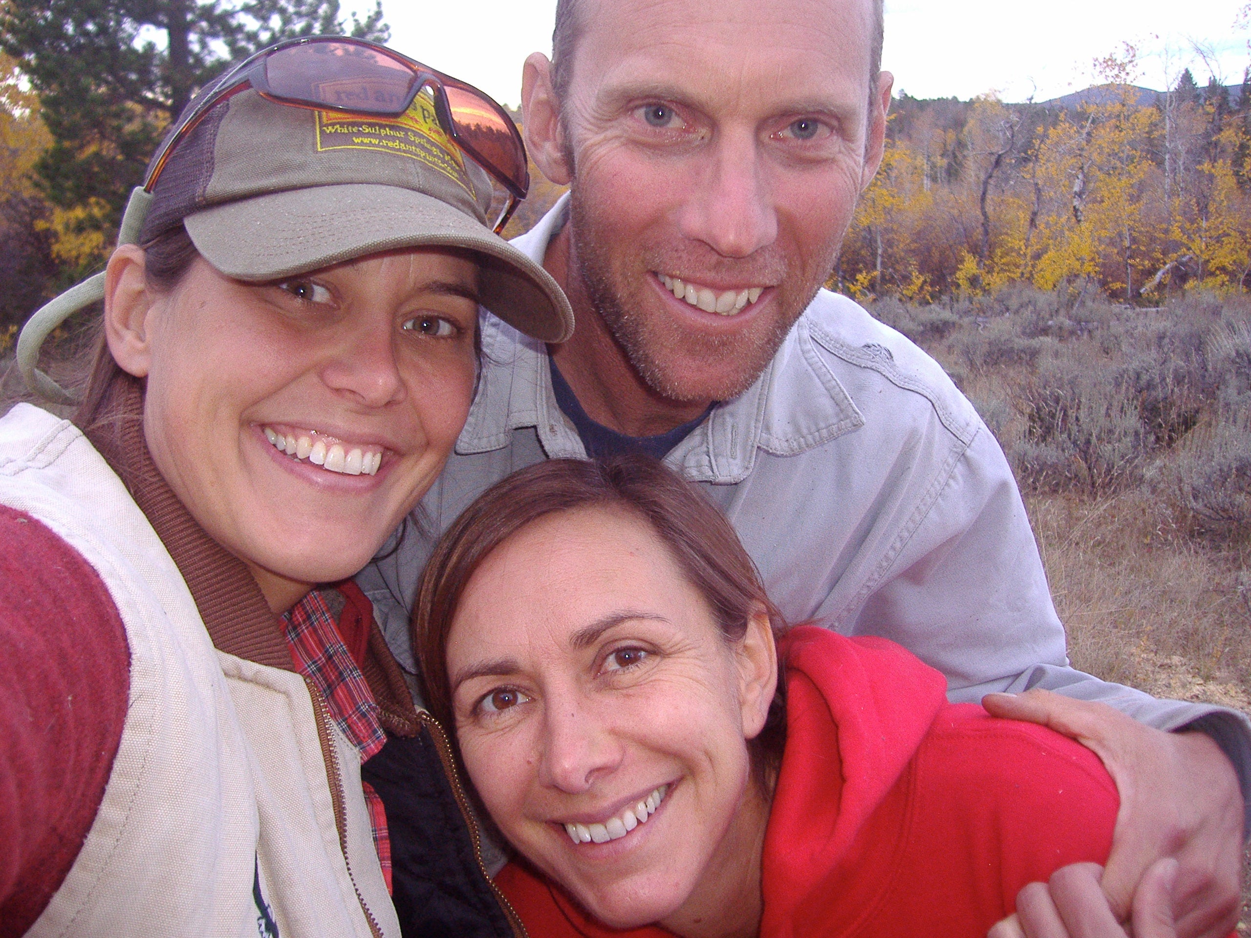 Firewood, Beartooths, and Dinosaur Eggs