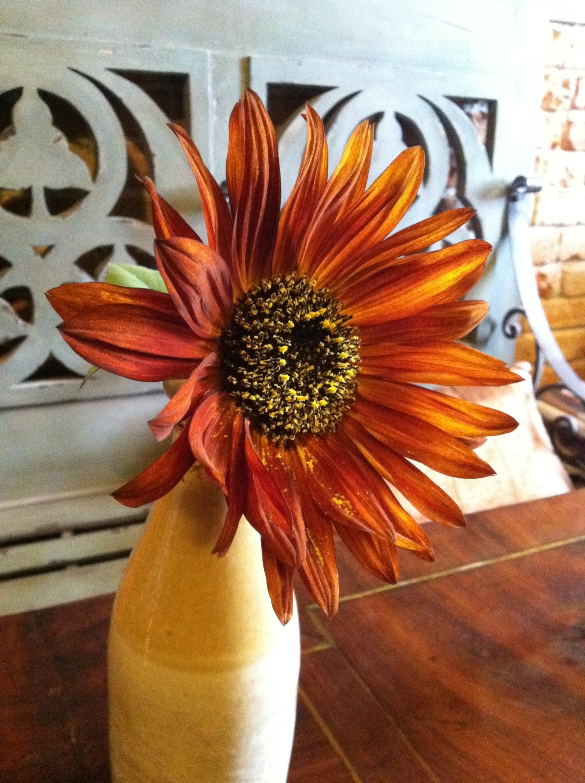 Plums, Firewood and...SNOW!?!