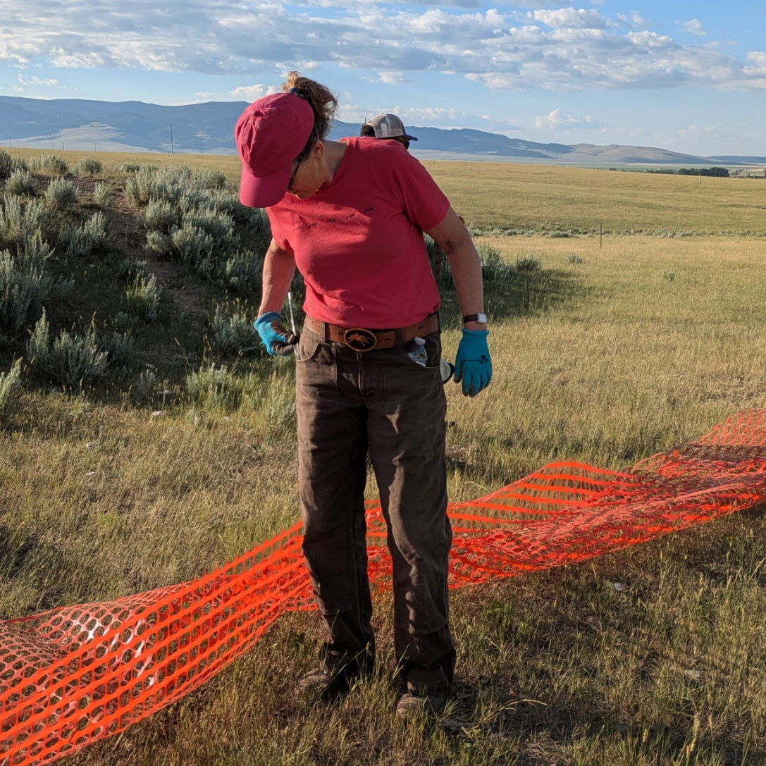 Original Work Pants in Iconic Brown - NEW SIZING!