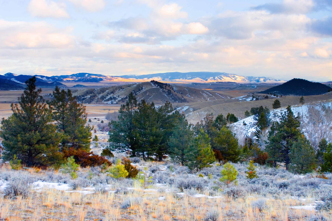 A Week in Montana - Late January
