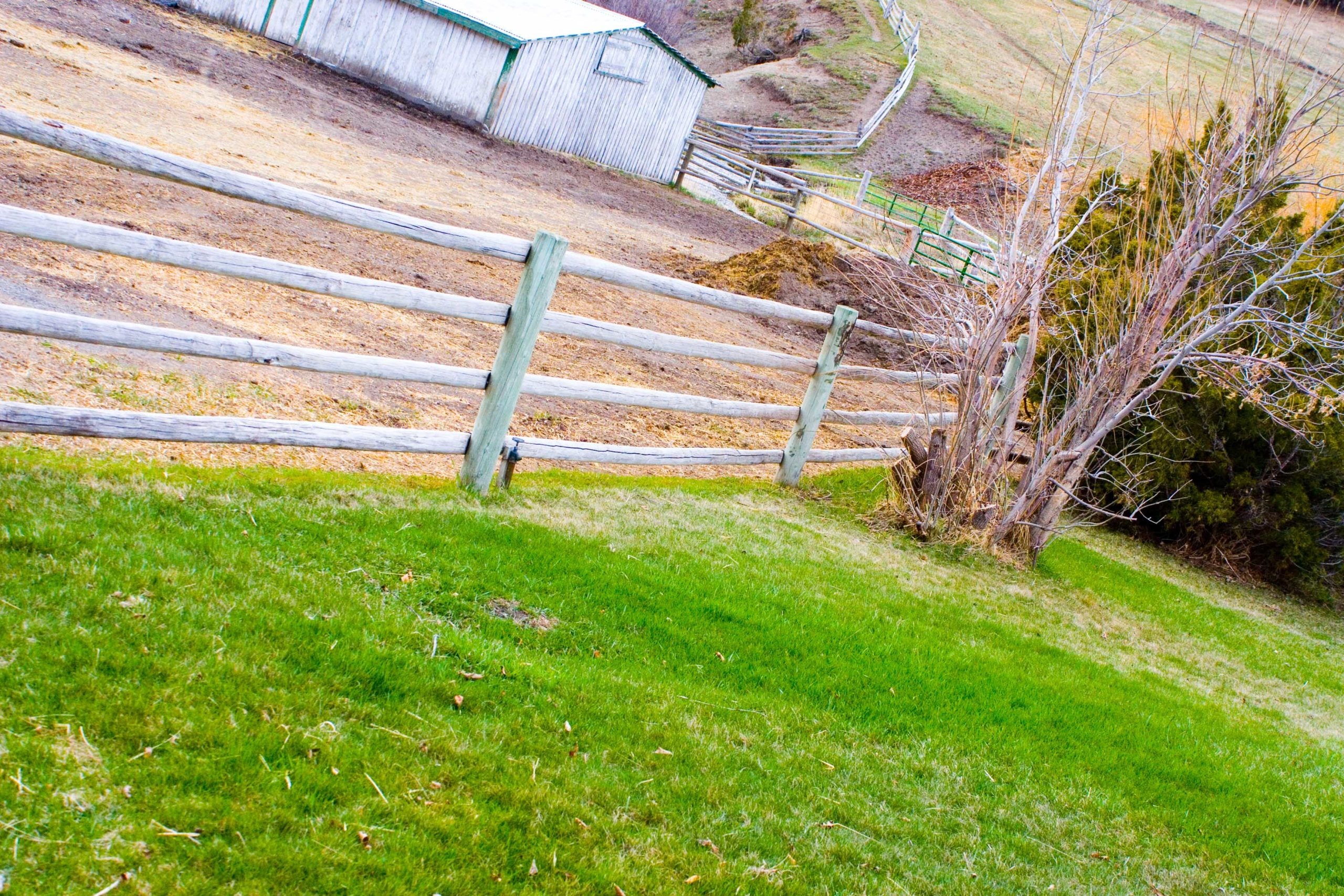 Nursery Tour of Montana.
