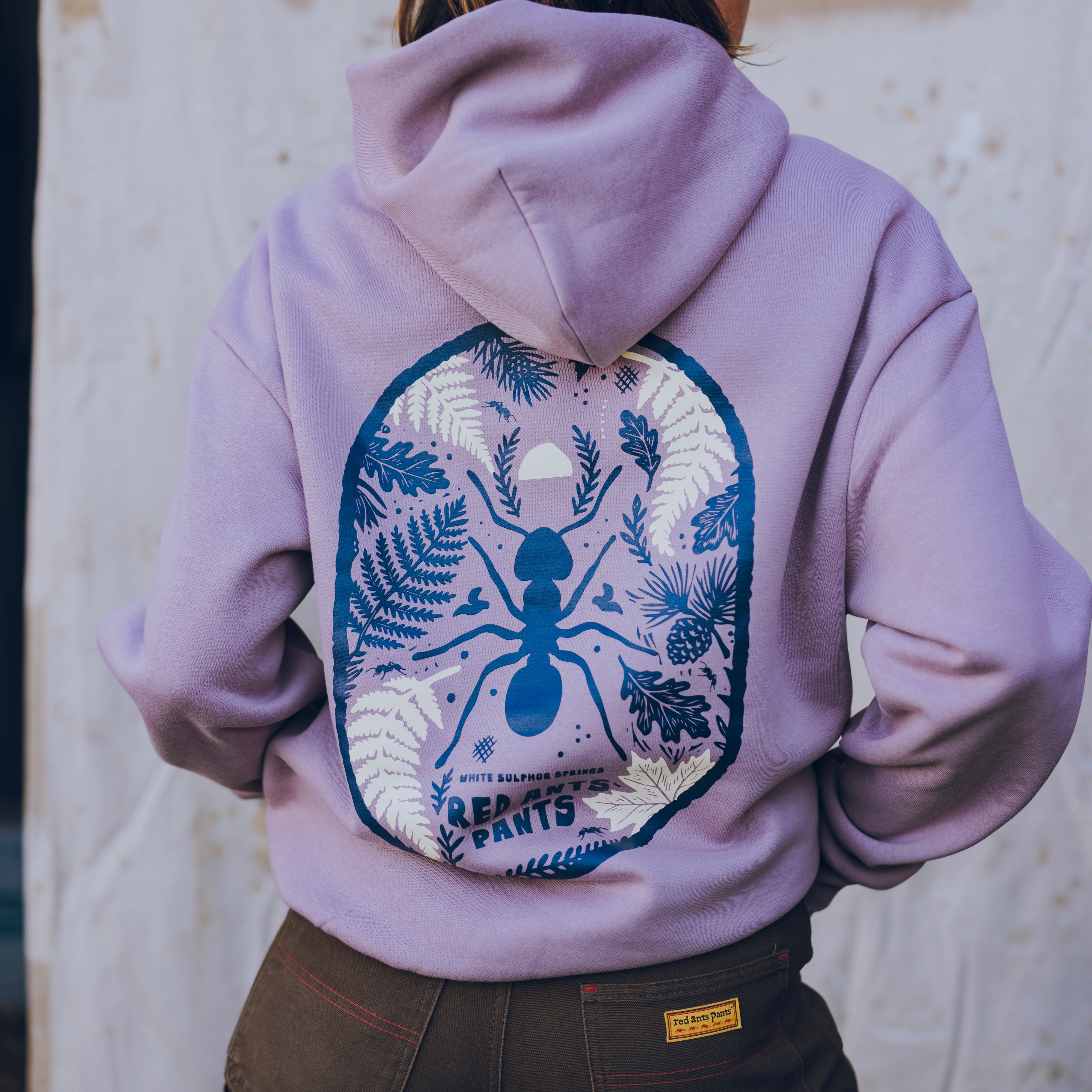 Take Me To White Sulphur Springs Hoodie