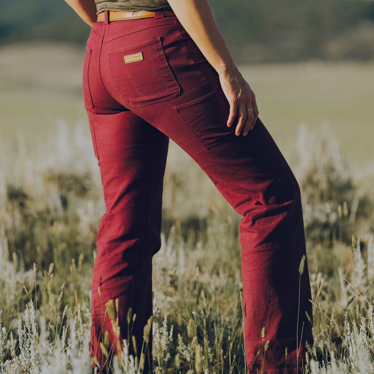 Get Stuff Done Work Pants Straight - Wine