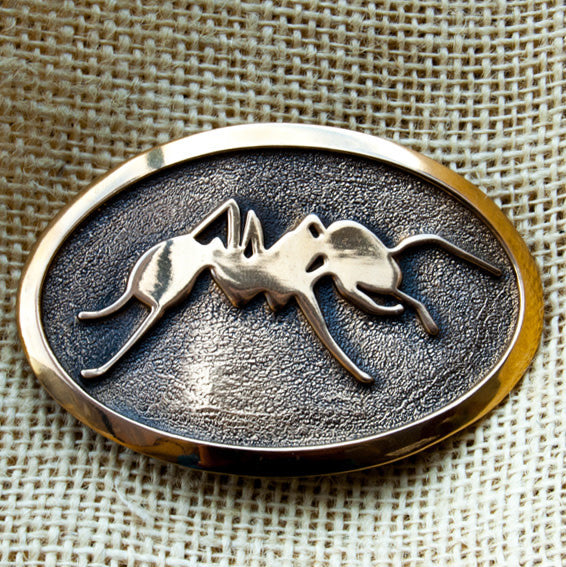 Signature Ant Buckle