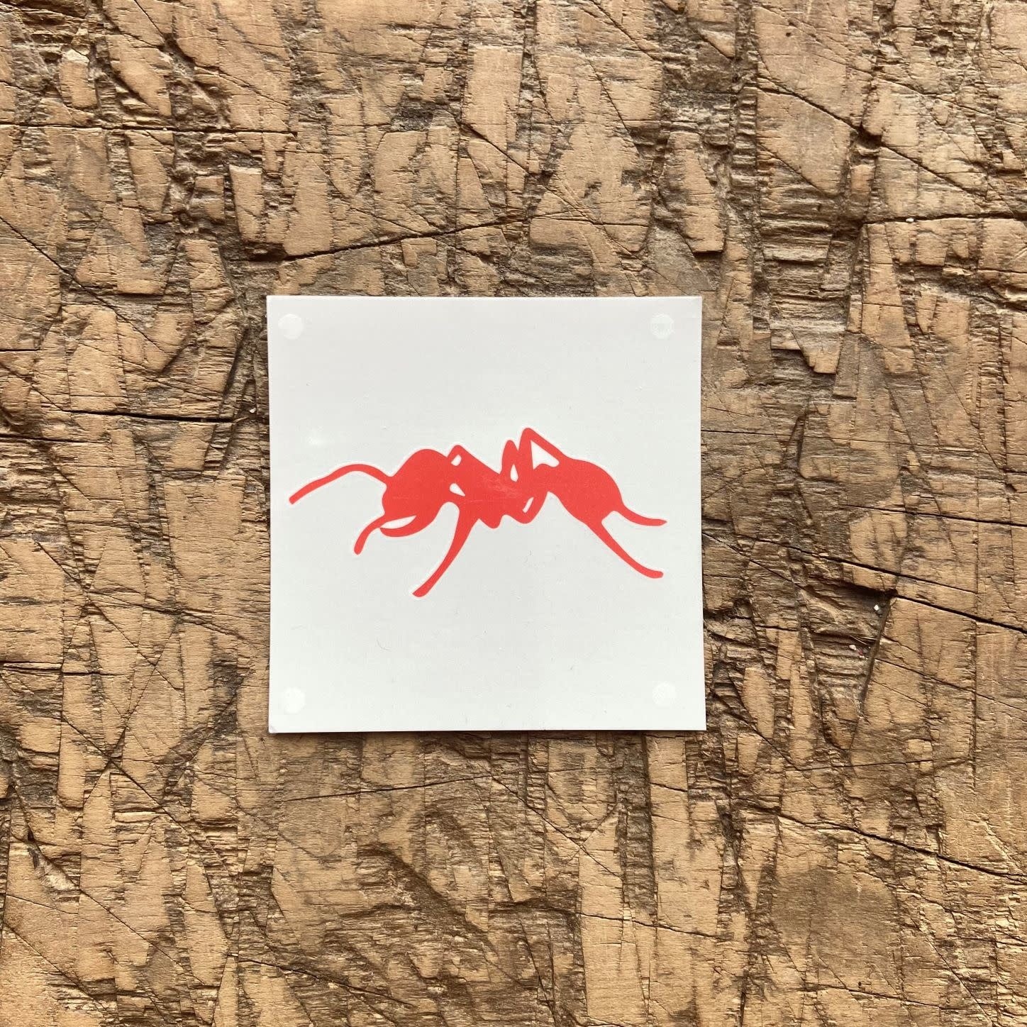 Ant Tattoo