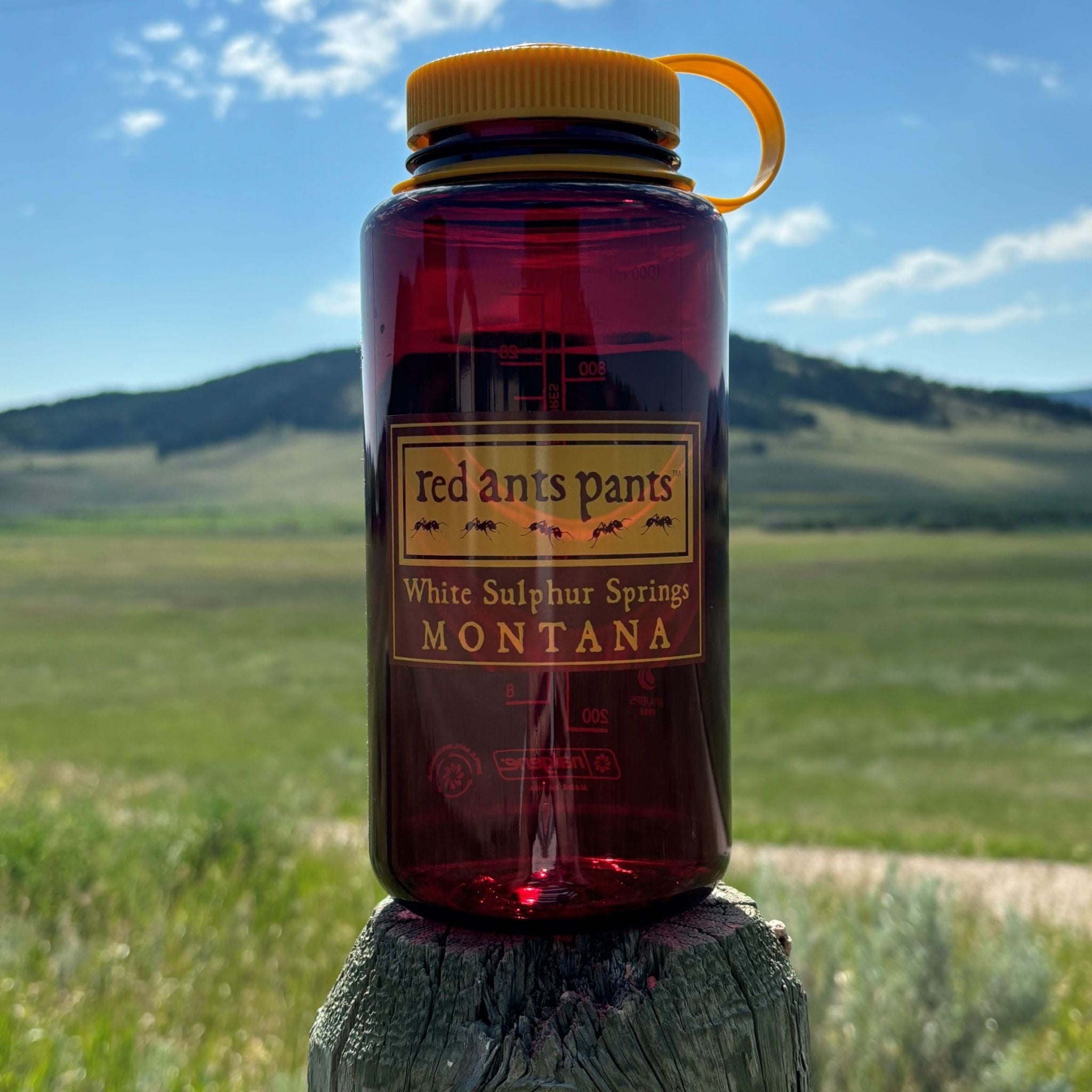 Nalgene Water Bottle