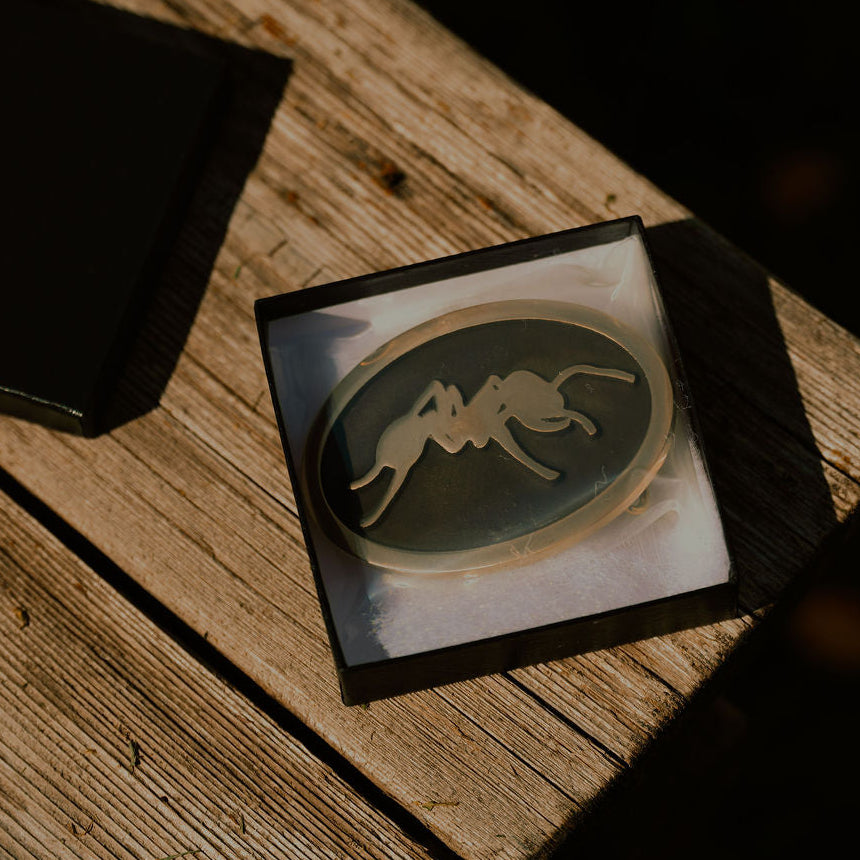 Signature Ant Buckle