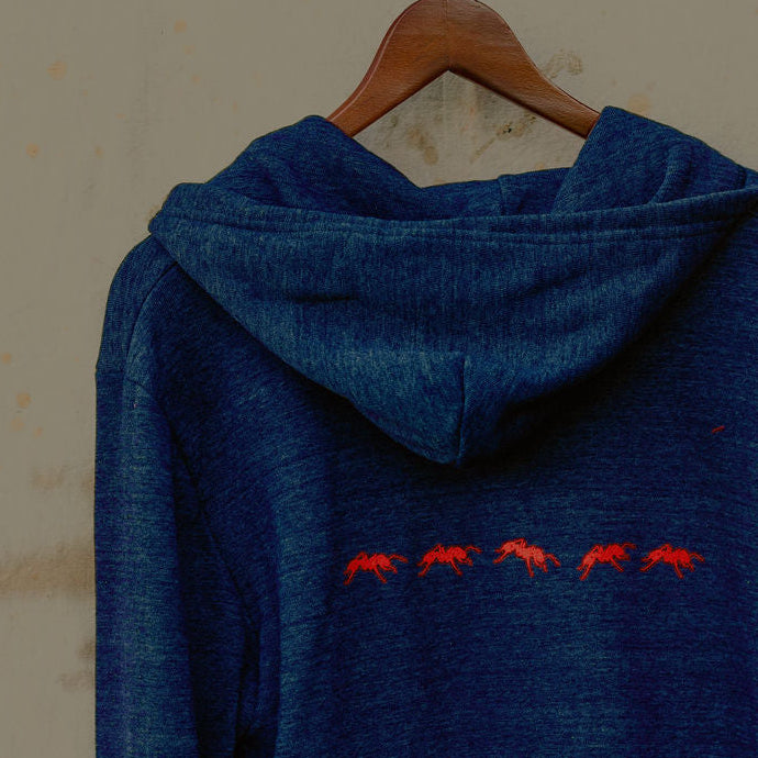 Blue Zip Hoodie