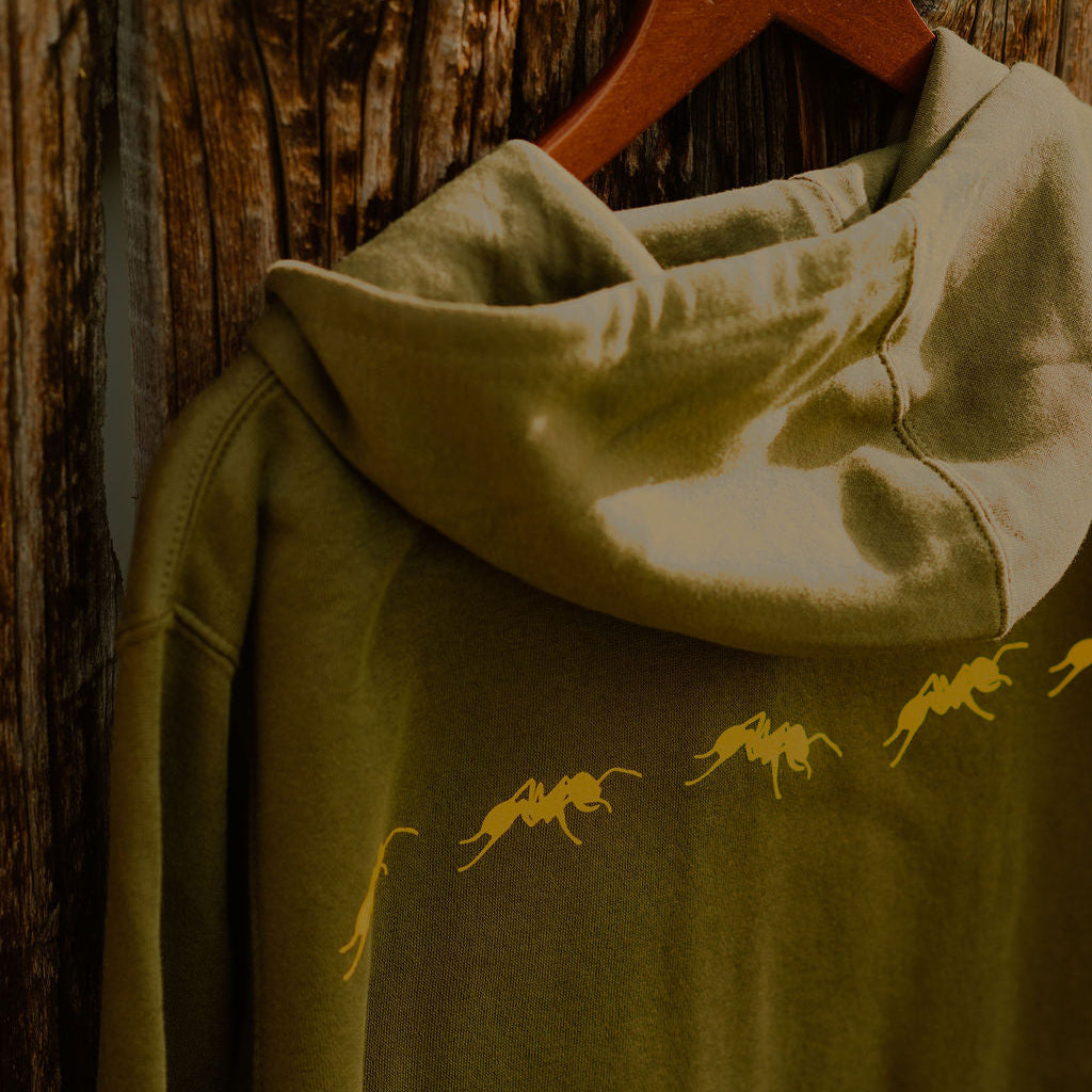 Field Favorite Hoodie