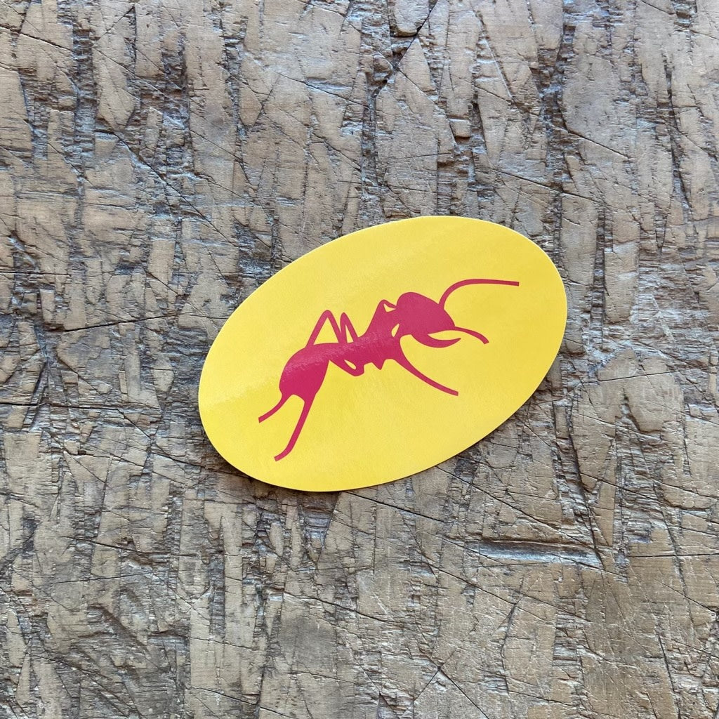 Oval Ant Magnet