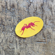 Oval Ant Magnet