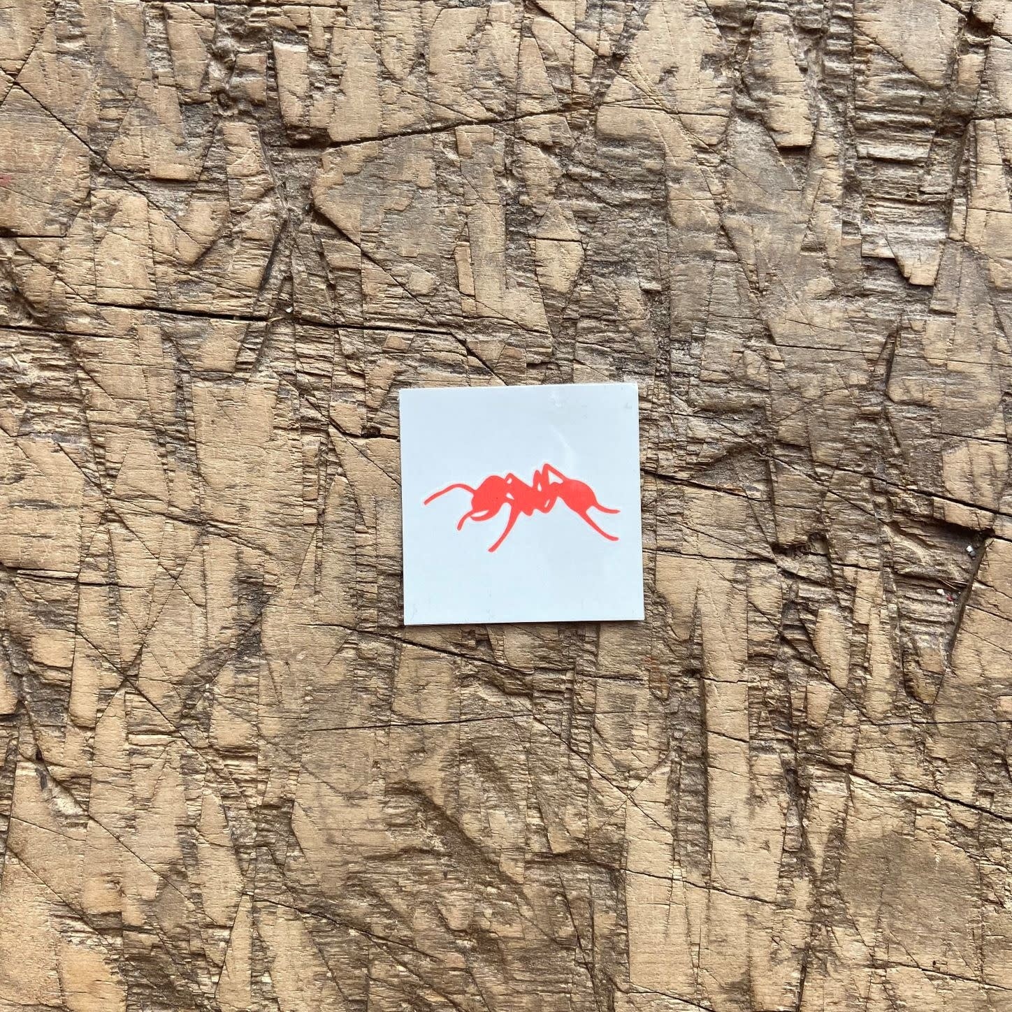 Ant Tattoo